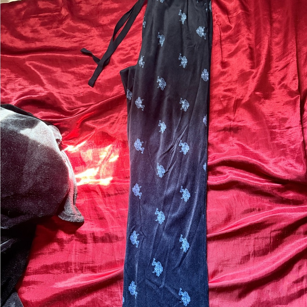 Black Velvet Pants with Blue Floral Pattern